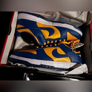 Nike Dunk Low Brand New size 12